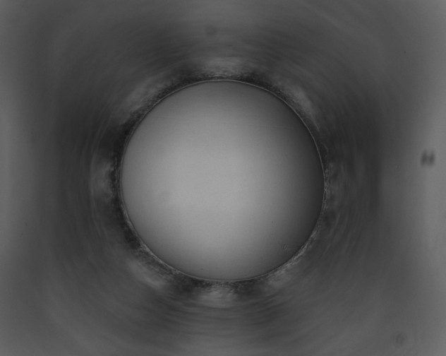 X0000090630162200707171455
