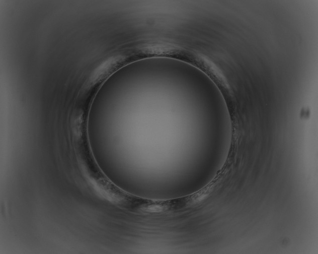 X0000090630163200707171455