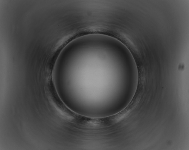 X0000090630164200707171455