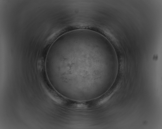 X0000090630165200707171455