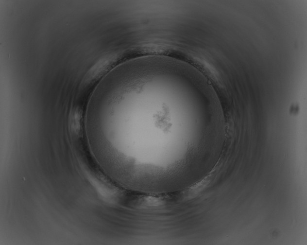 X0000090630166200707171455