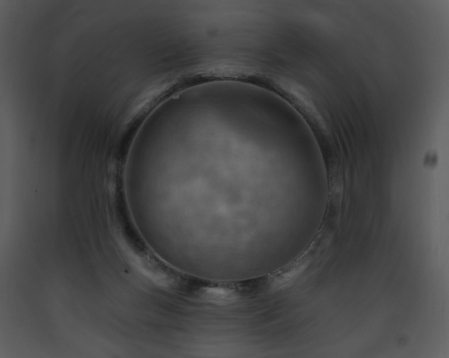 X0000090630167200707171455