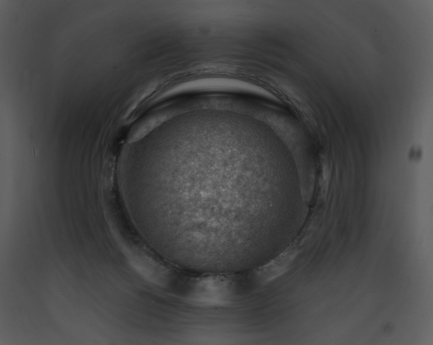 X0000090630168200707171455