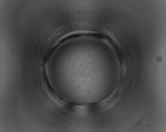 X0000090630170200707171455