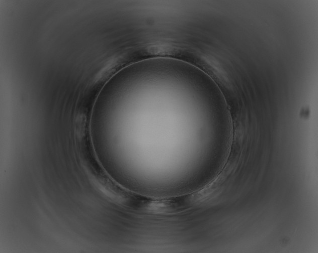 X0000090630171200707171455