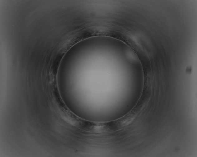 X0000090630173200707171455