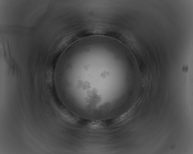 X0000090630175200707171455