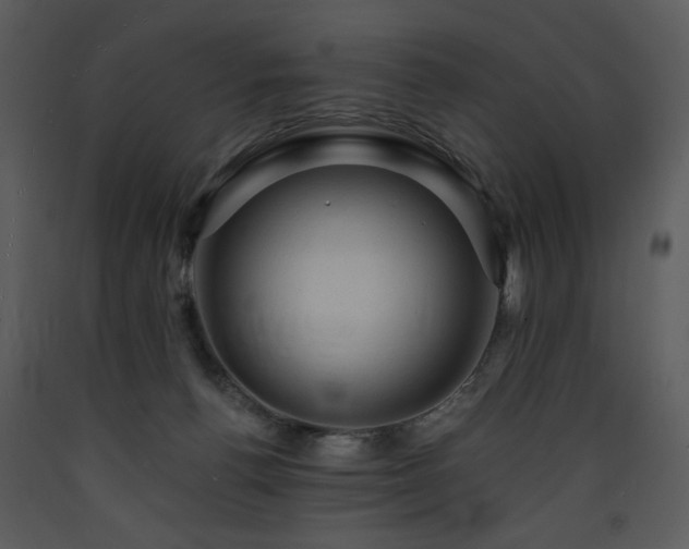 X0000090630176200707171455