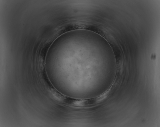 X0000090630178200707171455