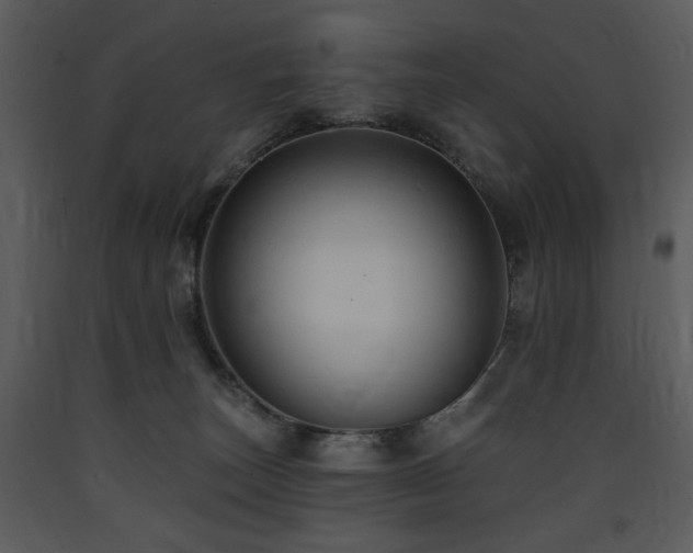 X0000090630179200707171455