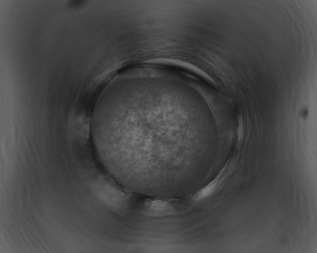 X0000090630180200707171455
