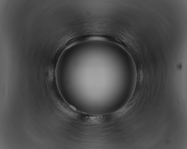 X0000090630188200707171455