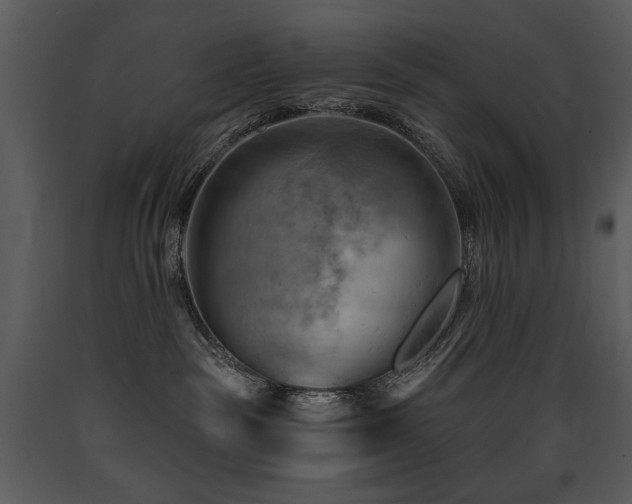 X0000090630189200707171455