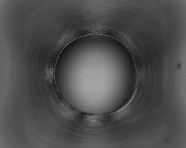 X0000090630190200707171455