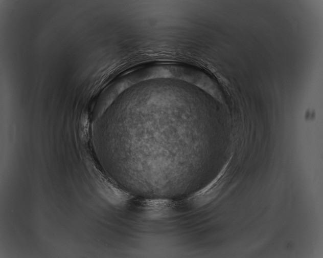 X0000090630192200707171456