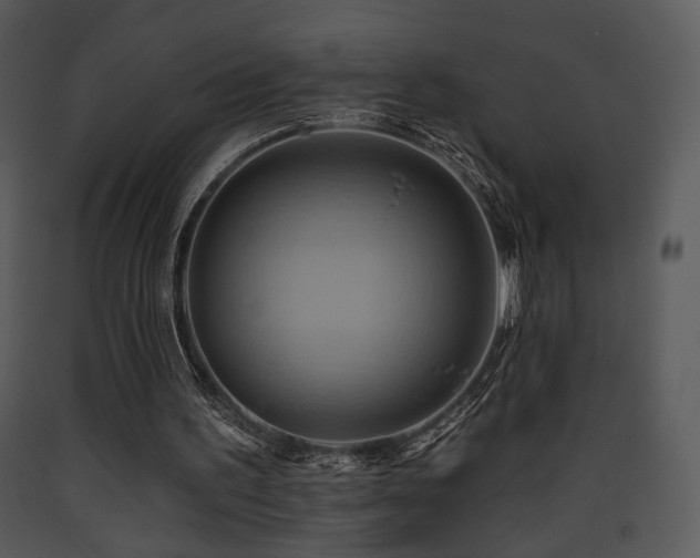 X0000090630195200707171455