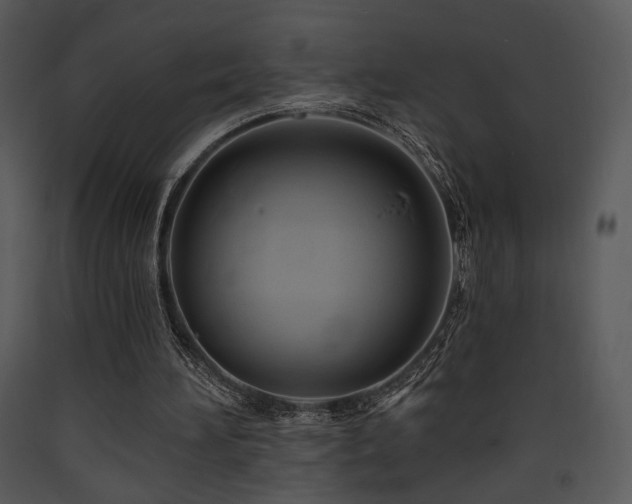 X0000090630196200707171455