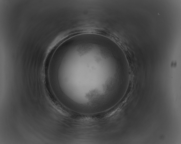 X0000090630198200707171455