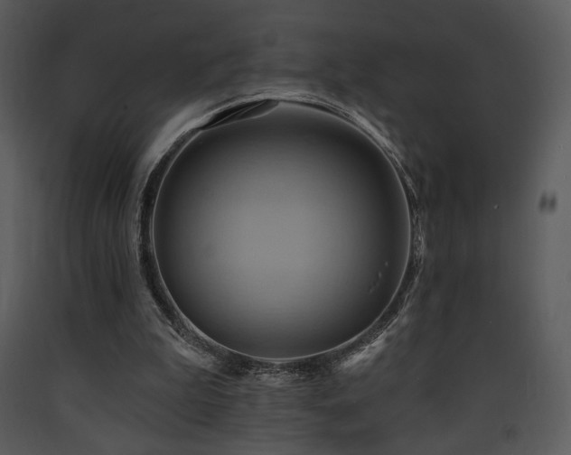 X0000090630199200707171455