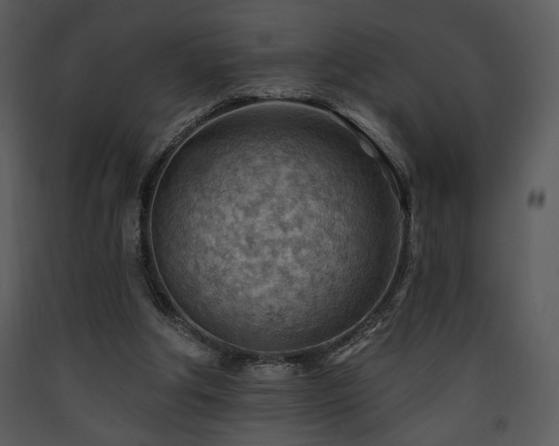 X0000090630202200707171455