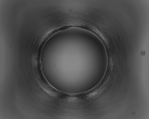X0000090630203200707171455