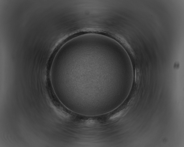 X0000090630204200707171455