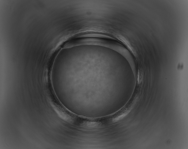 X0000090630205200707171455