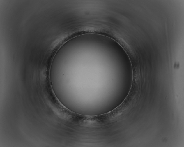 X0000090630208200707171455