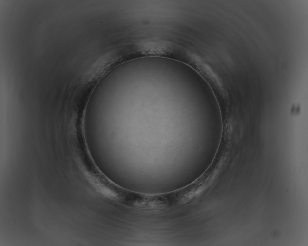 X0000090630209200707171455