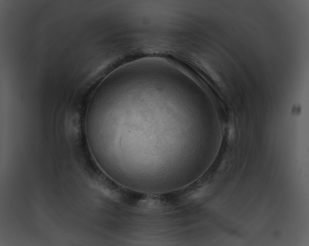 X0000090630211200707171455