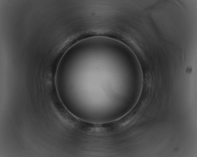 X0000090630212200707171455