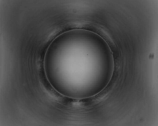 X0000090630216200707171455