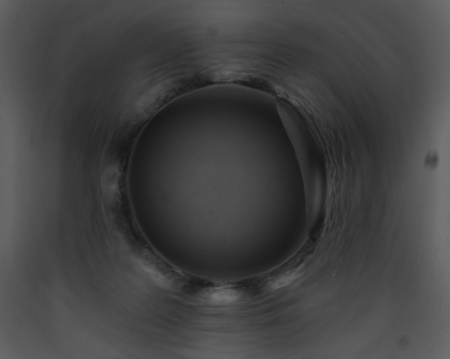X0000090630219200707171454