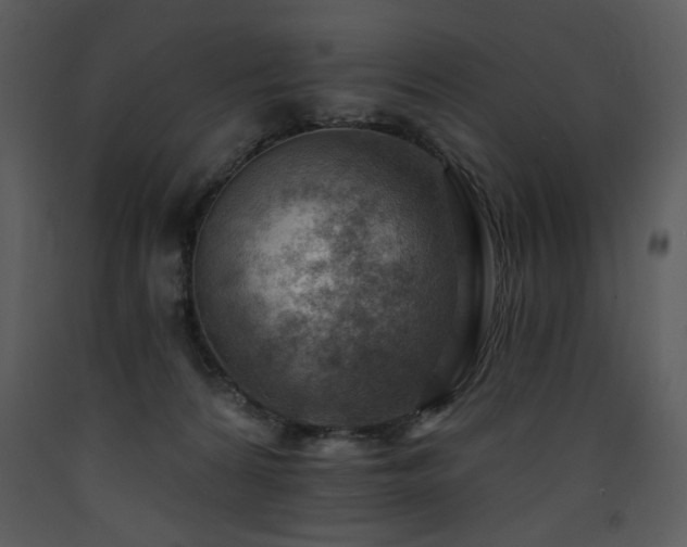 X0000090630224200707171454