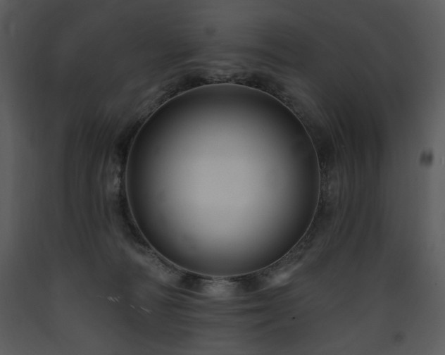 X0000090630226200707171454
