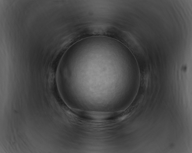X0000090630228200707171454