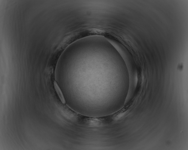 X0000090630229200707171454