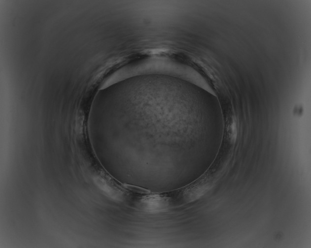X0000090630231200707171454