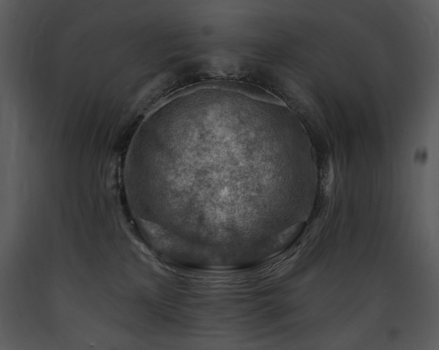 X0000090630233200707171454