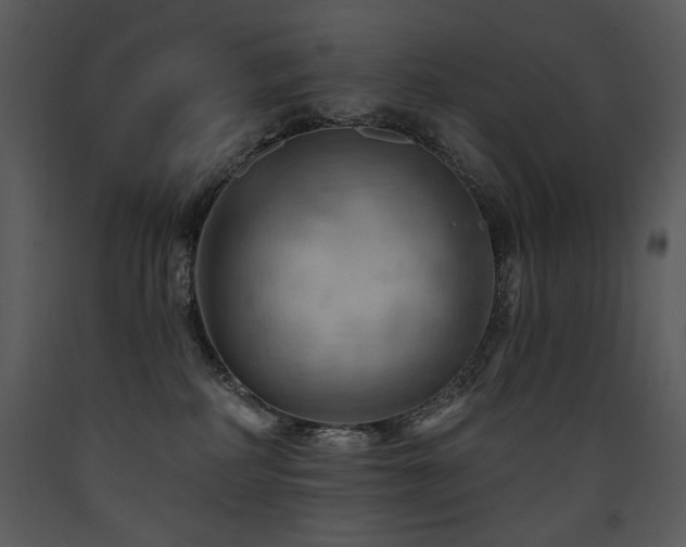 X0000090630234200707171454