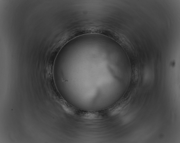 X0000090630236200707171454