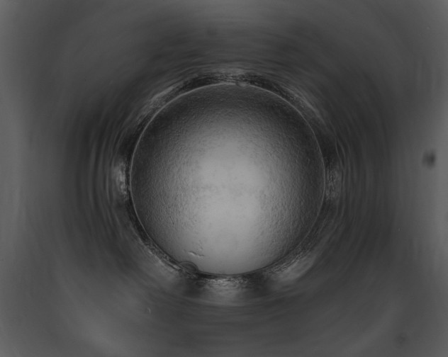 X0000090630238200707171454