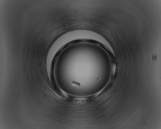 X0000090630239200707171454