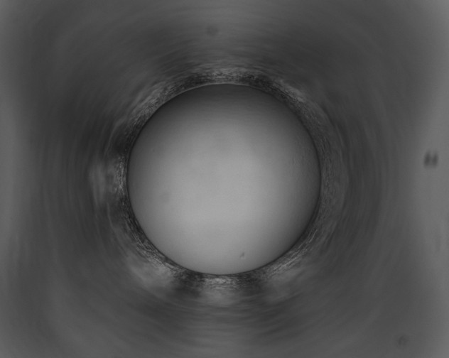 X0000090630240200707171454