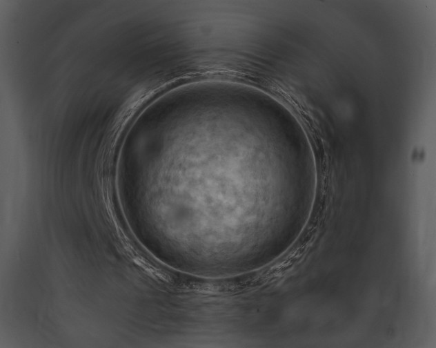 X0000090630241200707171454