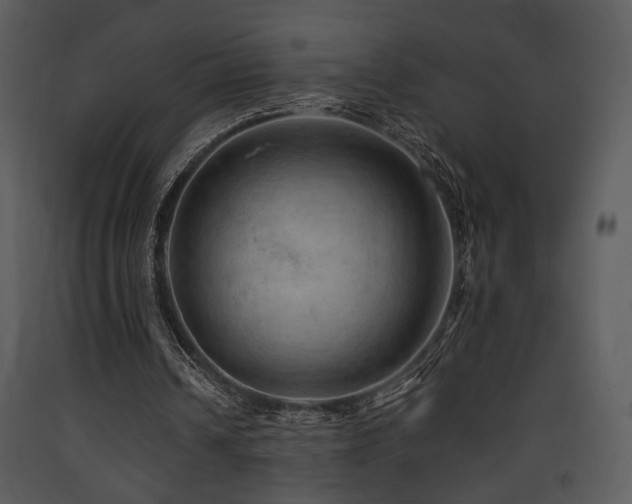 X0000090630242200707171454