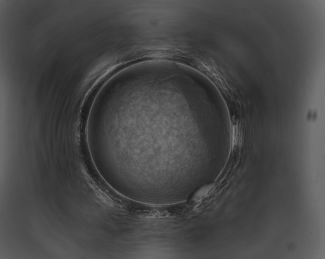 X0000090630243200707171454