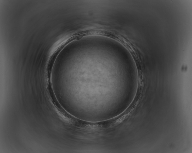 X0000090630245200707171454