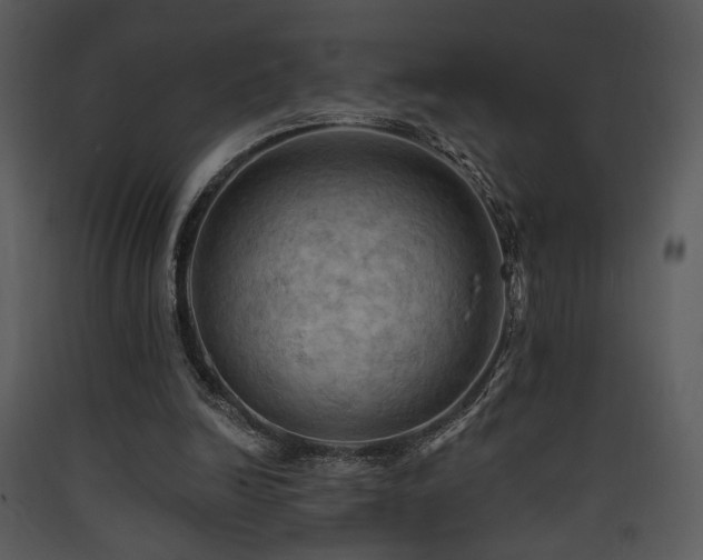 X0000090630246200707171454