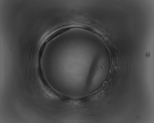 X0000090630247200707171454